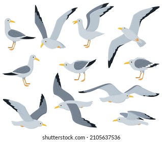 Aves de gaviota animadas, sentadas, volando y caminando aves gaviotas. Aves marinas, gaviotas atlánticas caracteres aislados ilustraciones vectoriales. Aves aisladas de gaviota, animales naturales volando