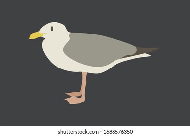 Cartoon seagull. Cute Cartoon seagull, Vector illustration on a grey background. Drawing for children.