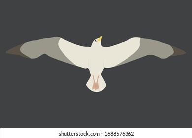 Cartoon seagull. Cute Cartoon seagull, Vector illustration on a grey background. Drawing for children.