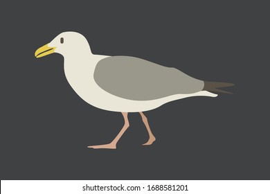 Cartoon seagull. Cute Cartoon seagull, Vector illustration on a grey background. Drawing for children.