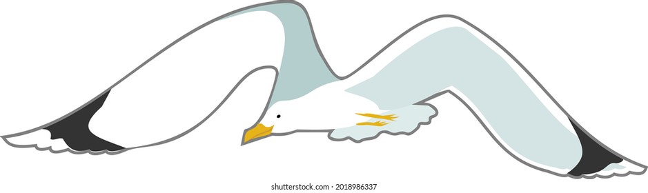 Gaviota de caricatura en vuelo con alas esparcidas aisladas en fondo blanco