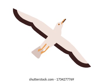 Cartoon seagull take off straighten wings vector flat illustration. Colorful marine bird flying enjoying freedom isolated on white background. Beautiful wild atlantic seabird