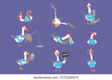 Cartoon seagulls with different poses and emotions set, cute comic bird characters