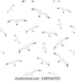 Cartoon seagulls flying on isolated white background. Sea ocean gull bird seamless vector illustration