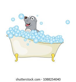 Cartoon seal in bathtub witth bubbles isolated on white background
