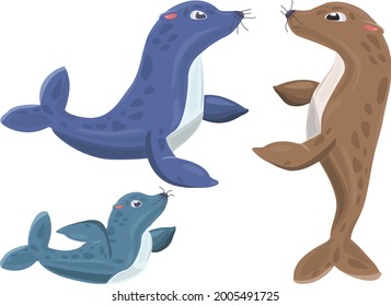 Cartoon Seal Family. Seals On White Background. Baby Seal. Adult Seal. Brown Seal