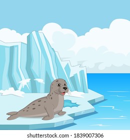 Cartoon seal floating on ice