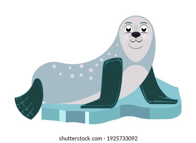 Cartoon seal on ice floe vector illustration in flat cartoon style