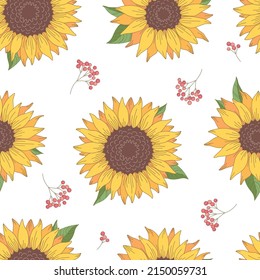 Cartoon seamless pattern with top view sunflowers and berries on white background vector illustration