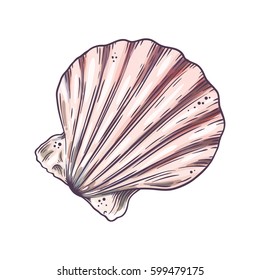 Cartoon seashell. Isolated vector illustration.