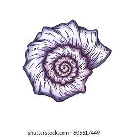 Cartoon seashell. Isolated vector illustration.