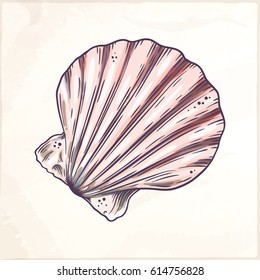 Cartoon seashell. Isolated vector illustration.