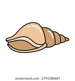 Cartoon seashell on white background closeup illustration, empty shell