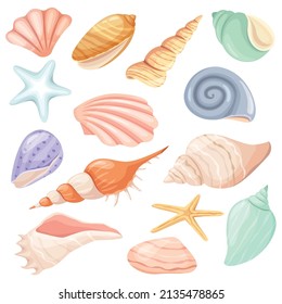 conchas de caricatura y estrellas de mar, concha tropical oceánica. Caracol, ostra, concha de almejas, conchas de moluscos marinos, conjunto de elementos de playa de verano vectores. Objetos submarinos de vida silvestre aislados en blanco