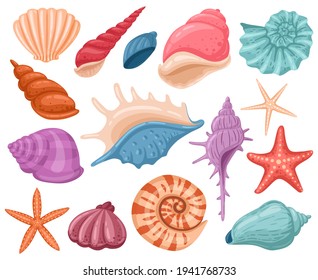 Cartoon seashells. Summer beach sea shells, underwater, ocean reef tropical shells. Marine beach shells decoration vector illustration set