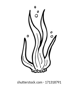 cartoon seaweed