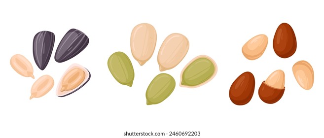 Cartoon seeds. Organic raw sunflower seeds, pumpkin seeds and pine nuts, tasty snacks for vegetarian diet flat vector illustration set. Delicious seeds on white