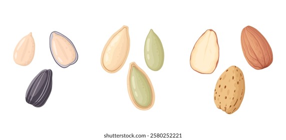 Cartoon seeds. Organic raw sunflower seeds, pumpkin seeds and pine nuts, tasty snacks for vegetarian diet flat vector illustration set. Delicious seeds on white background