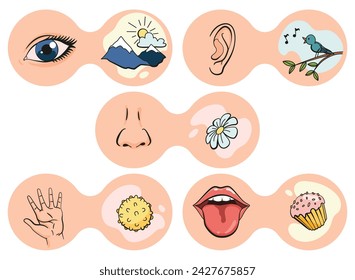 Cartoon sensory organs icons. Nose, ear, hand, tongue and eye. Five human senses education concept. Vector illustration isolated on white background