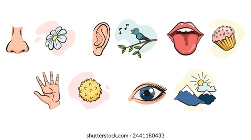 Cartoon sensory organs icons. Nose, ear, hand, tongue and eye. Five human senses education concept. Vector illustration isolated on white background