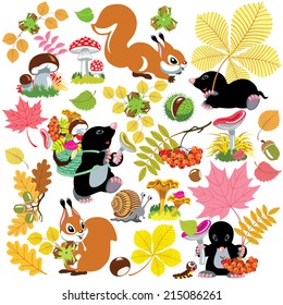 cartoon set with autumnal harvest of forest, autumn season, isolated images for little kids 