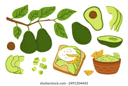 Cartoon set with avocado fruit on branch with leaves. Whole avocado, half and slices, cubes. Avocado toast with poached egg, bowl of guacamole with lime and nachos. Flat vector set