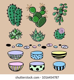 cartoon set of cactus, succulent and pots