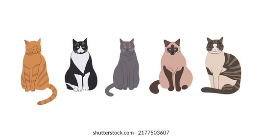 Juego de dibujos animados de gatos con diferentes poses y emociones. Comportamiento del gato, lenguaje corporal y expresiones faciales. Gatos en un simple estilo lindo, aislada ilustración vectorial.