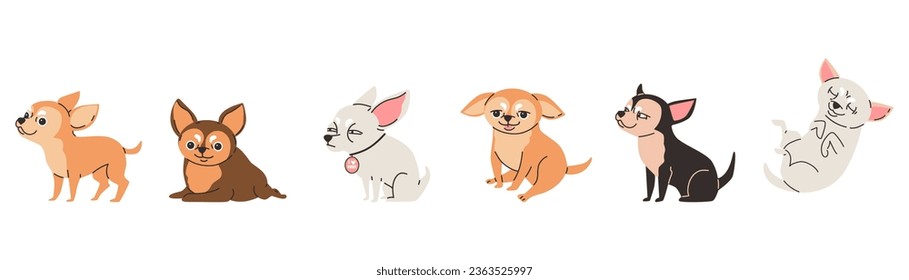 Cartoon set of Chihuahua purebred breed of furry dogs sitting, lying and standing, best pet. Cute little smiling light, brown and black chihuahua puppy vector illustration isolated on white background