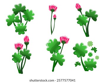 Cartoon set of Clover compositions. Shamrock flowers and leafs.