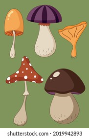 Cartoon set of a coloured mushrooms, poisoned and healthy, vegetarian food in a flat style. Vector illustration