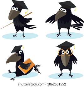 Cartoon set crow with bachelor cap vector image for your design