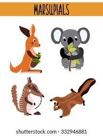 Cartoon Set of Cute Animals marsupials living in Australia and its Islands. Kangaroo, squirrel, numbat, anteater and Koala bear with bamboo leaf. Vector illustration