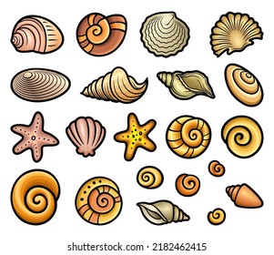 Cartoon set of cute doodle shells. Summer beach vector funny illustration. Isolated on white background
