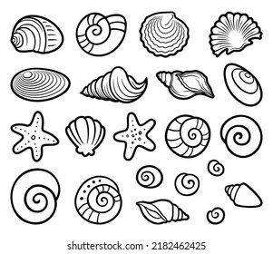 Cartoon set of cute doodle shells. Summer beach vector funny illustration