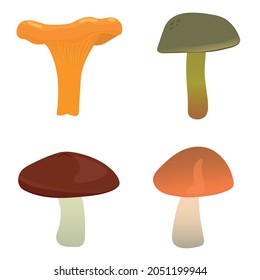 Cartoon set of edible mushrooms. Chanterelle, Boletus luteus, Boletaceae, Leccinum red-capped scaber stalk. Flat vector illustration
