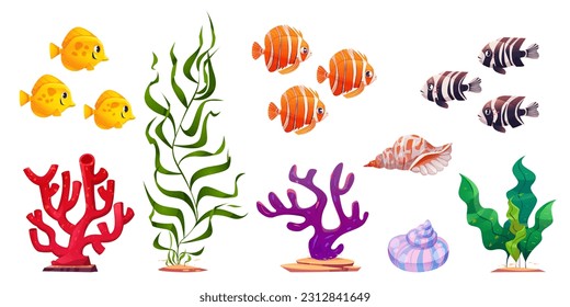 Cartoon set of exotic fish, green seaweed, shells, colorful corals isolated on white background. Vector illustration of sea underwater inhabitants and plants, decorative aquarium design elements