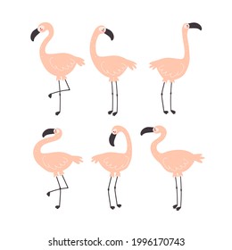 cartoon set of flamingo. Summer colorful vector illustration, flat style. design for cards, print, posters, logo, cover

