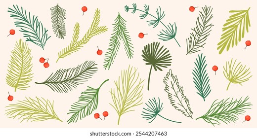 Cartoon Set of Flat Fir Tree Branches with Red Berries. Collection of spruce twigs in hand drawn cartoon style isolated on white background.