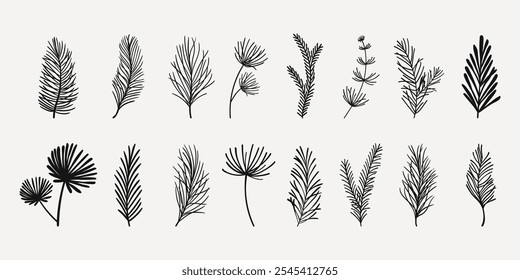 Cartoon Set of Flat Fir Tree Branches with Red Berries. Collection of spruce twigs in hand drawn cartoon style isolated on white background.