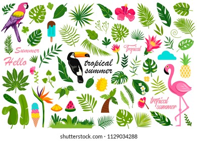 cartoon set of flat summer decor elements. tropical design. vector illustration