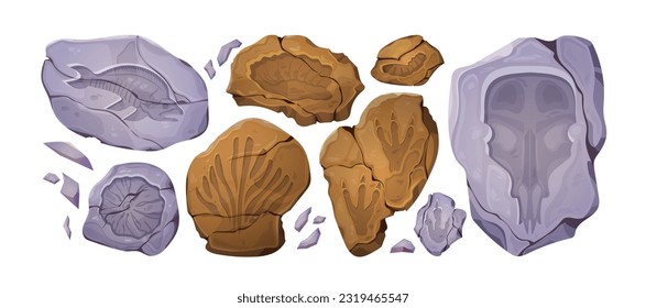 Cartoon set of fossil stones with prehistoric animal and plant imprints. Vector illustration of ancient rocks with dinosaur footprints, fish, shell, mammoth skull prints. Archeology museum exhibits