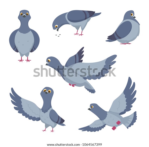 Cartoon Set Funny Pigeons Illustrations Birds Stock Vector (Royalty ...