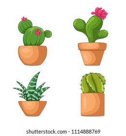 Cartoon set of green cactuses. Element design. Vector illustration on white background.  Abstract cactus in flower pot.
