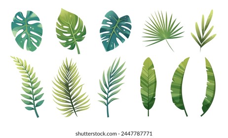 Cartoon set of green tropical leaves of palm tree, monstera, banana, croton, ferns. Vector design elements on white background for games, prints, templates