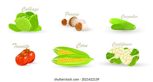 Cartoon set of healthy vegetables, cabbage, mushroom, cucumber, tomato, corn, cauliflower. Vector ripe organic ingredients for cook. Idea of vegetarian, clean eating, food shopping isolated on white