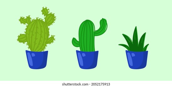 Cartoon set of house plants, succulents and cacti