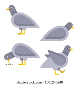 Cartoon set of pigeons. Vector illustration.