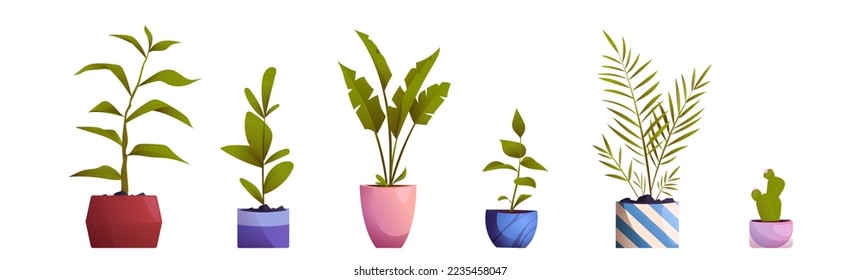 Montaje de caricaturas de flores en macetas, árboles aislados en un fondo blanco. Ilustración vectorial de plantas de casas verdes para la decoración interior del hogar. Colección de elementos de diseño de habitación, balcón, oficina y jardín