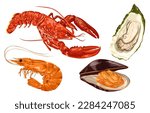 Cartoon set of seafood. gourmet food, crayfish, shrimp, lobster, oysters, mussels, clams, lobster dinner, ocean red meat recipe, healthy food, neat vector illustration